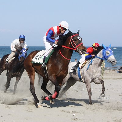 さがら草競馬大会