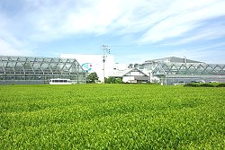 グリンピア牧之原