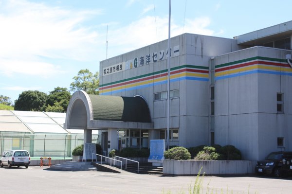 B＆G海洋センター